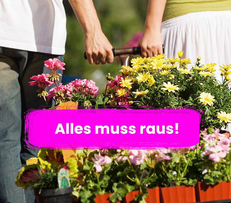 Alles muss raus bei Gartencenter Kluge