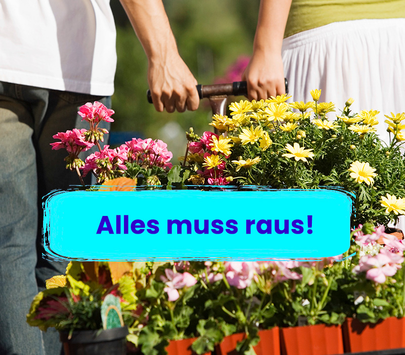 Alles muss raus bei Gartencenter Kluge