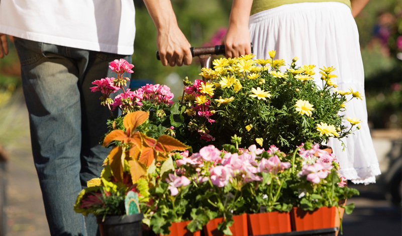 Räumungsverkauf bei Gartencenter Kluge
