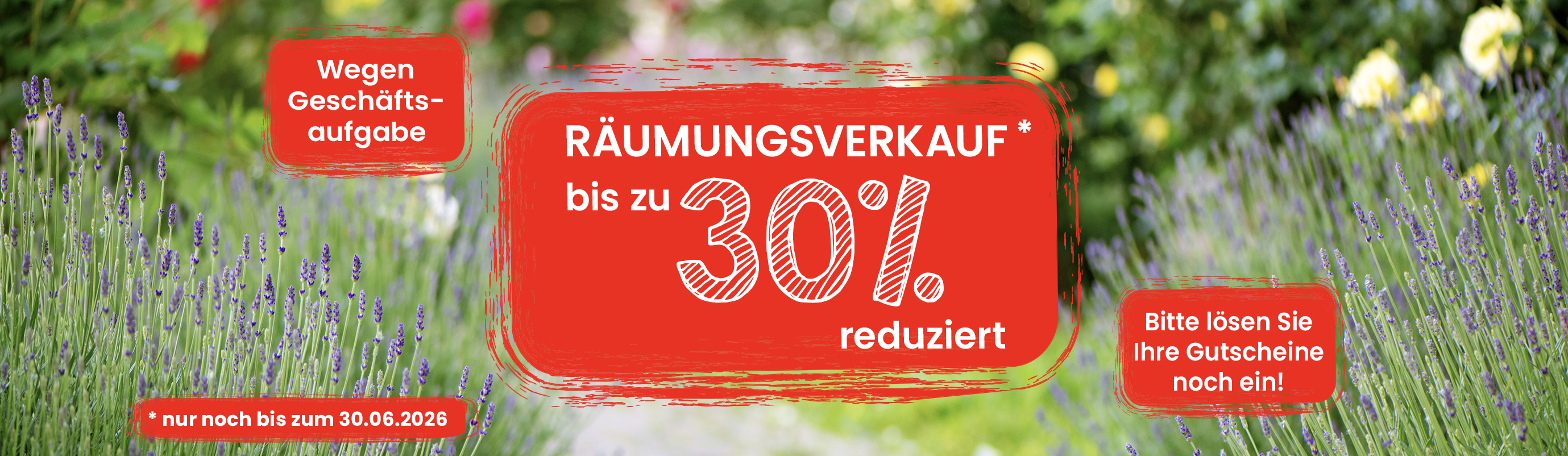 Räumungsverkauf bei Baumschule Kluge bis zum 30.06.2026. Bis zu 30% reduziert. Wegen Geschäftsaufgabe