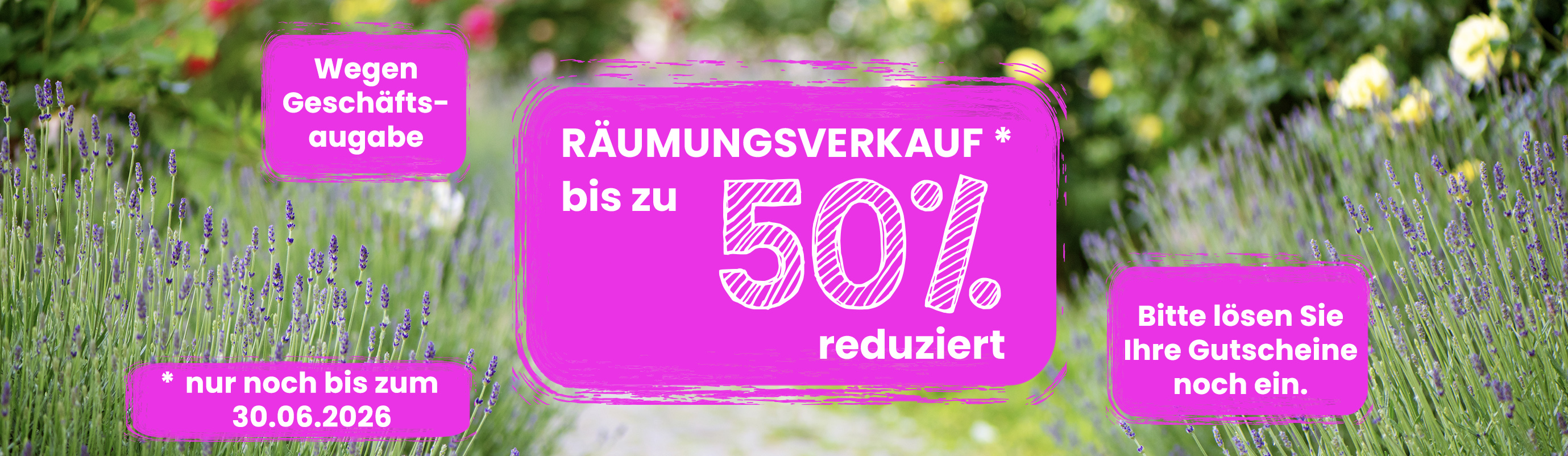 Räumungsverkauf bei Baumschule Kluge bis zum 30.06.2026. Bis zu 50% reduziert. Wegen Geschäftsaufgabe