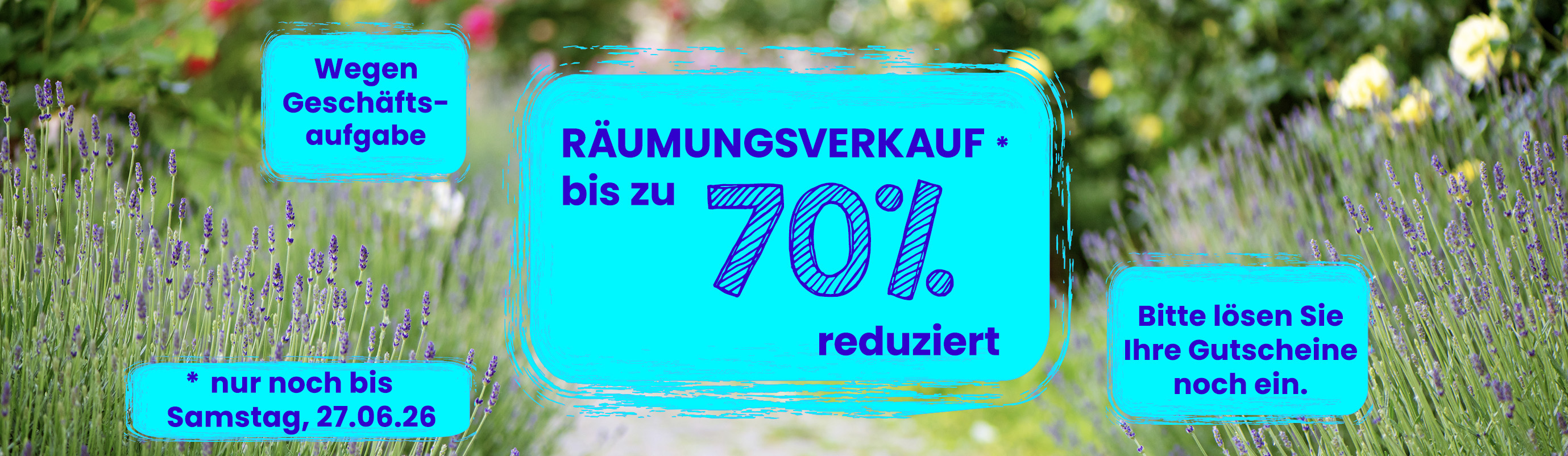 Räumungsverkauf bei Baumschule Kluge bis zum 27.06.2026. Bis zu 70% reduziert. Wegen Geschäftsaufgabe